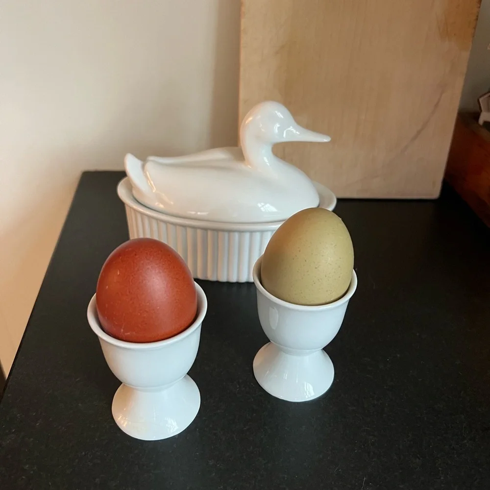 Crate & Barrel Small covered Serving White Porcelain Oval Duck Casserole Dish
